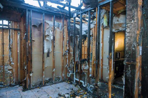 Professional Fire Damage Repair technician working in Medina, TX